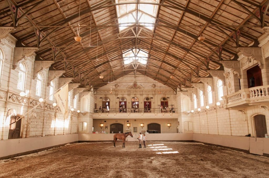 De Hollandsche manege